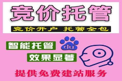 成功案例：信息流优化师在社交平台上的广告策略